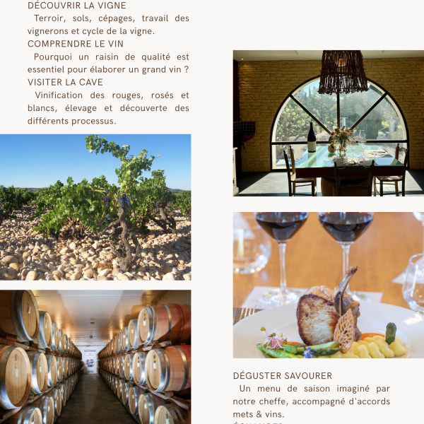 La Table d'Alain Jaume – Visite, dégustation vin et expérience Chateauneuf du Pape 