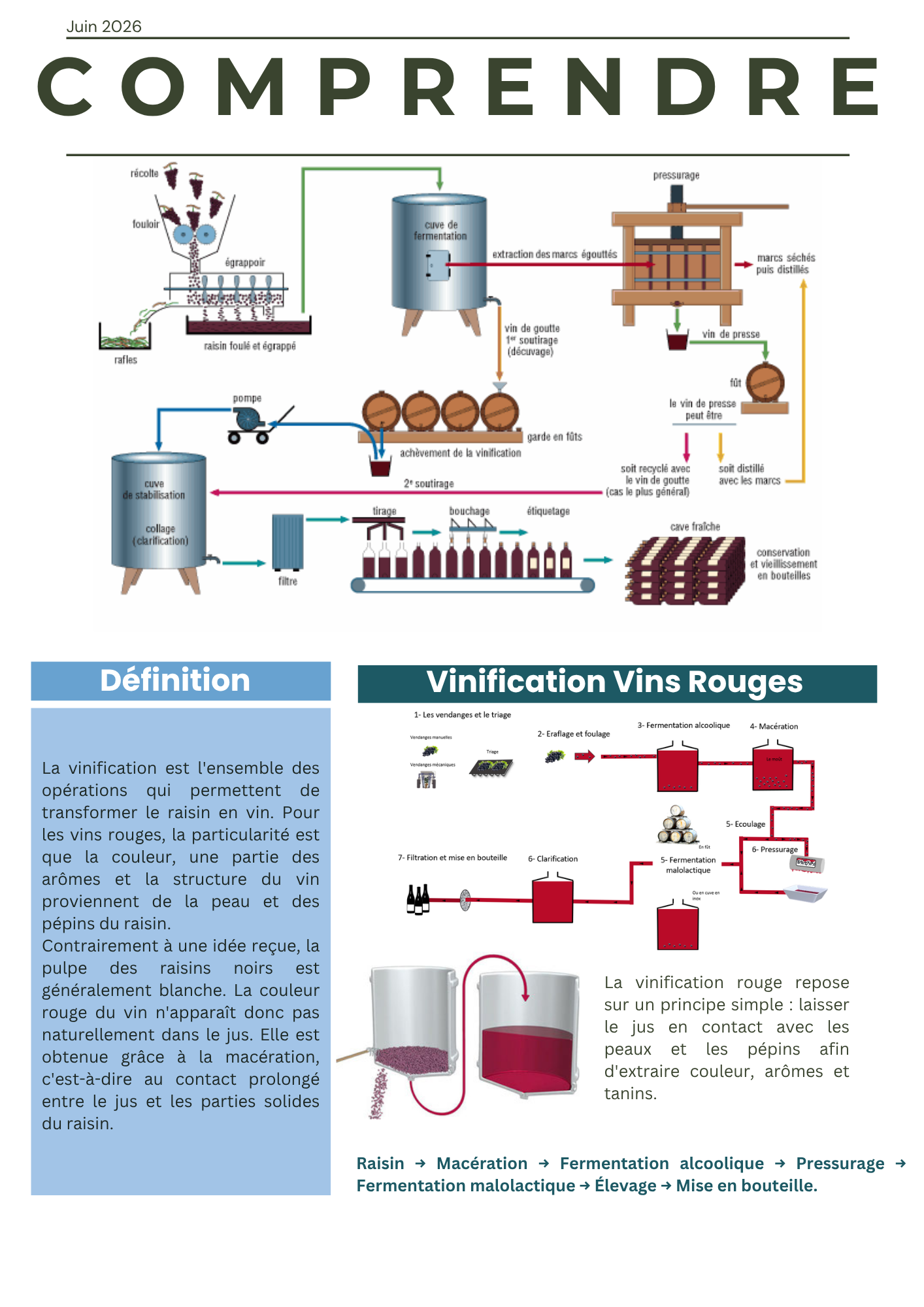 Vinification vin rouge