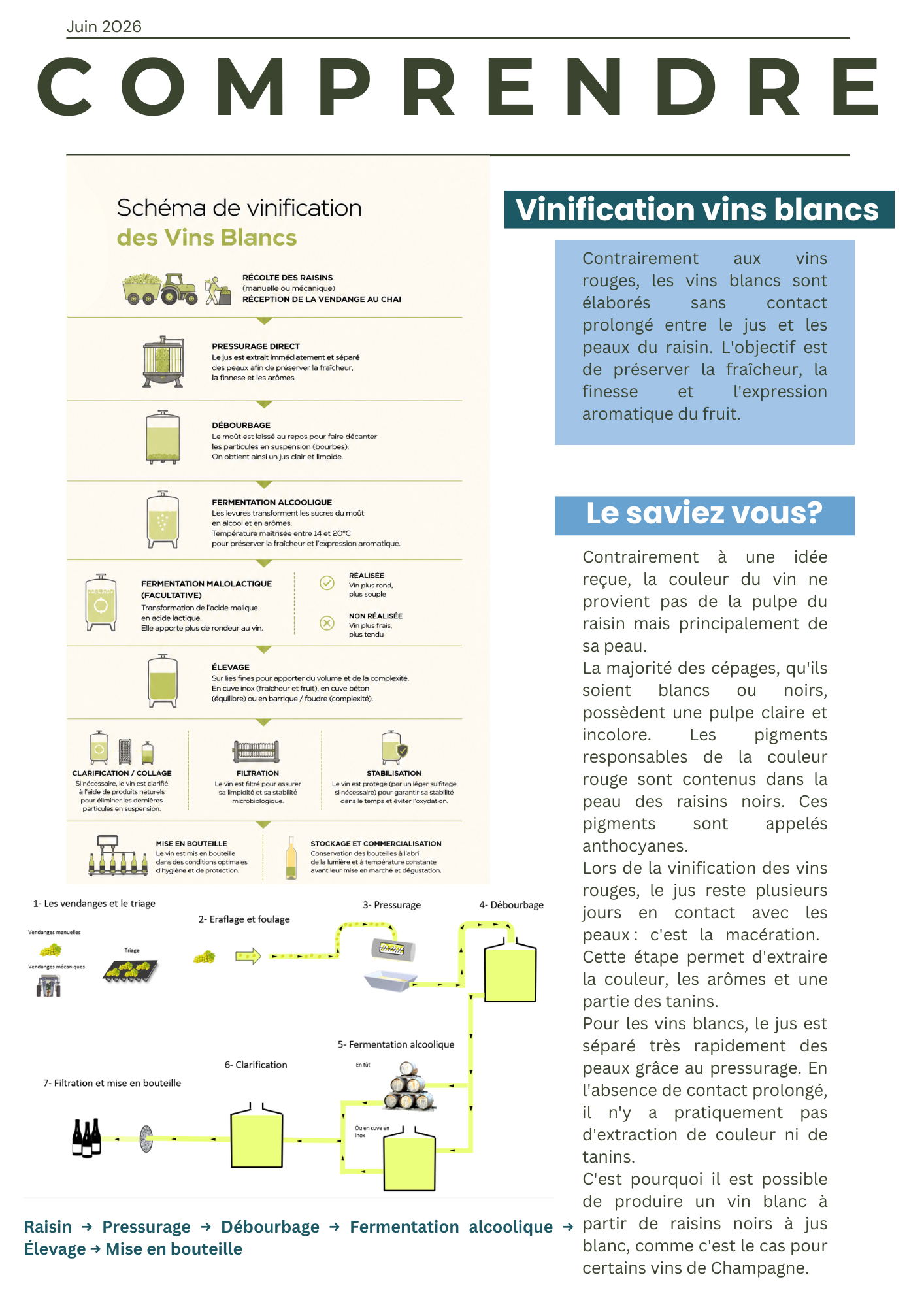 Vinification vin blanc
