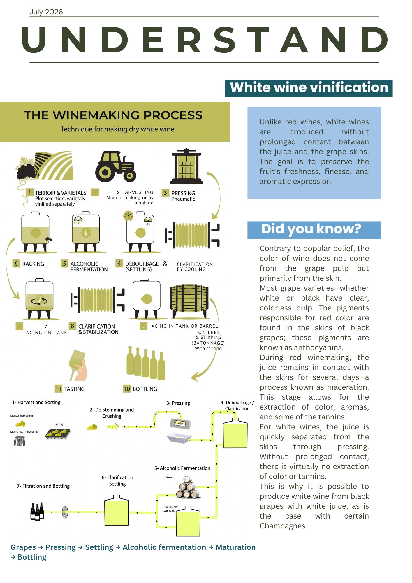 White wine vinification