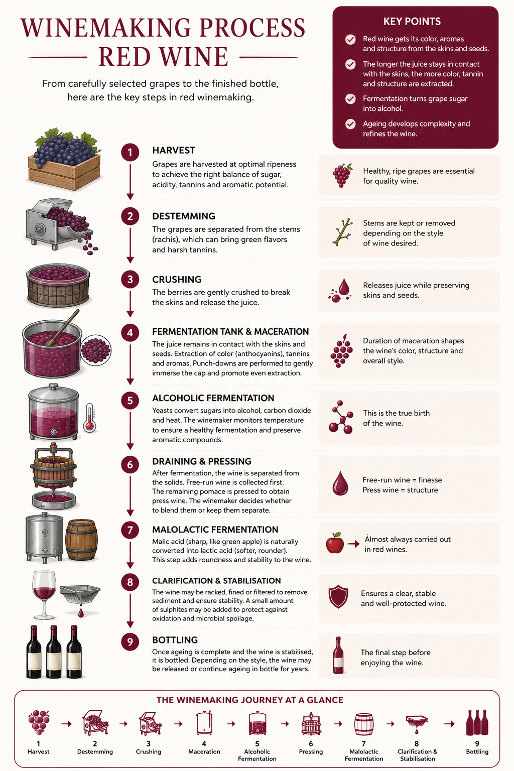 Red Wine Winemaking